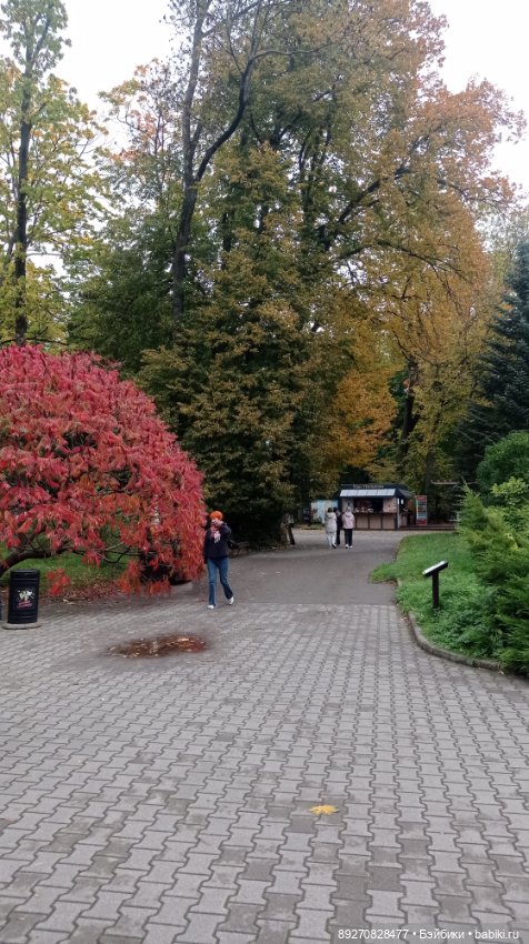 Наше знакомство с Калининградом