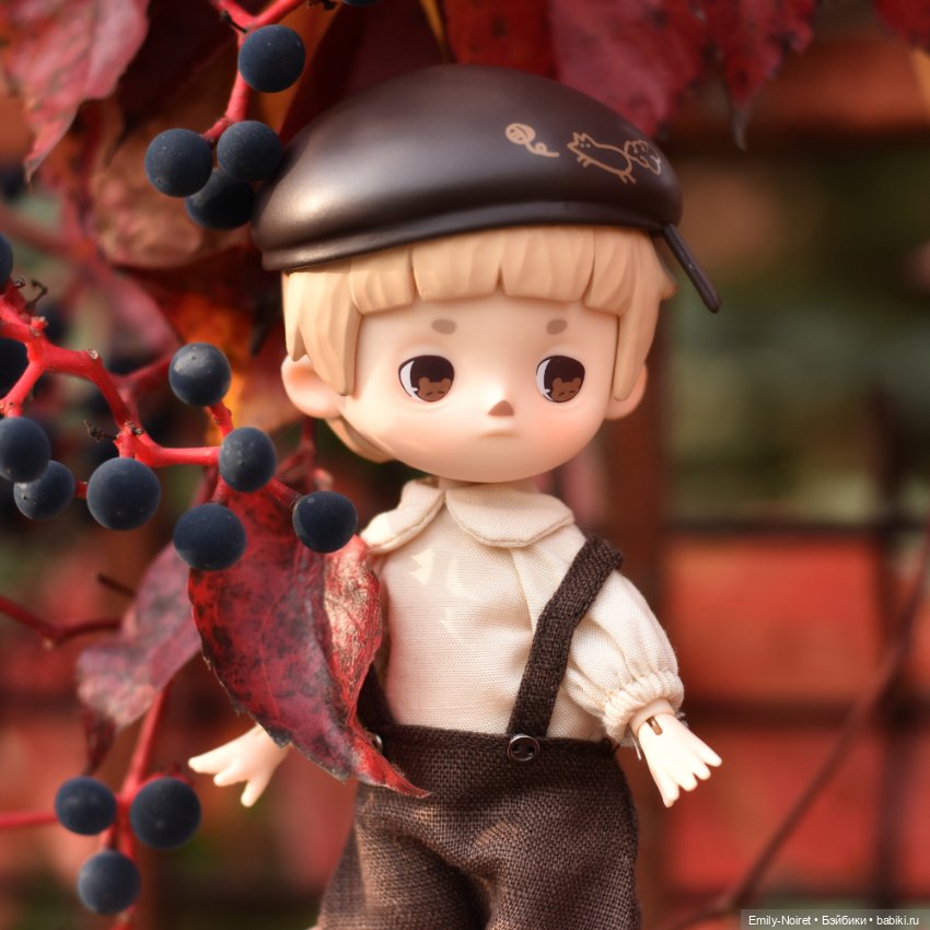 Фото-подборка: Желто-красная осень