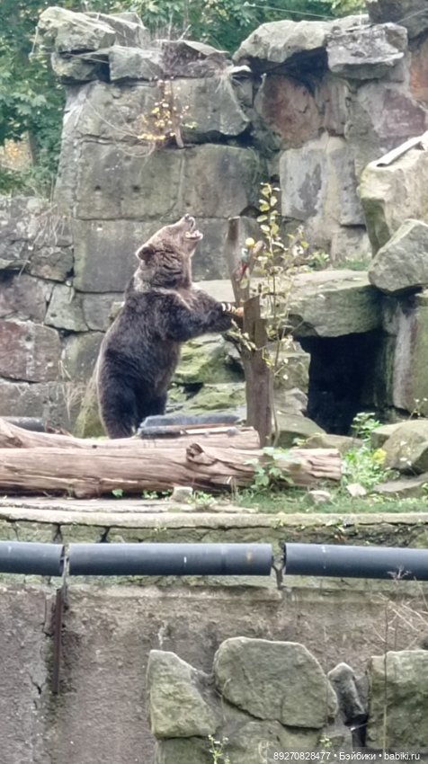 Наше знакомство с Калининградом