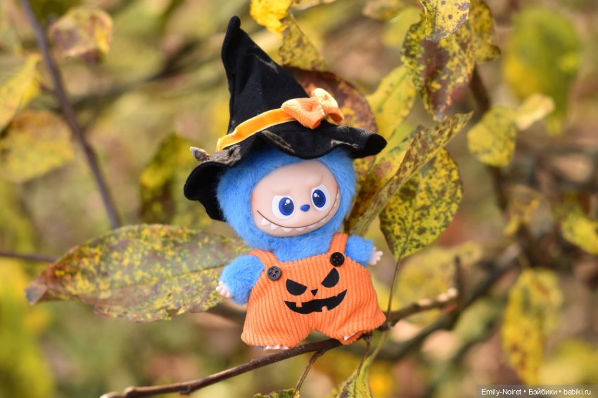 Фото-подборка: Желто-красная осень