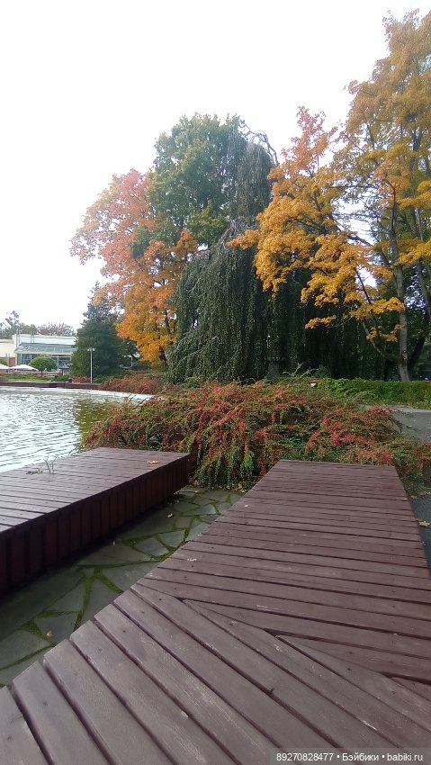 Наше знакомство с Калининградом