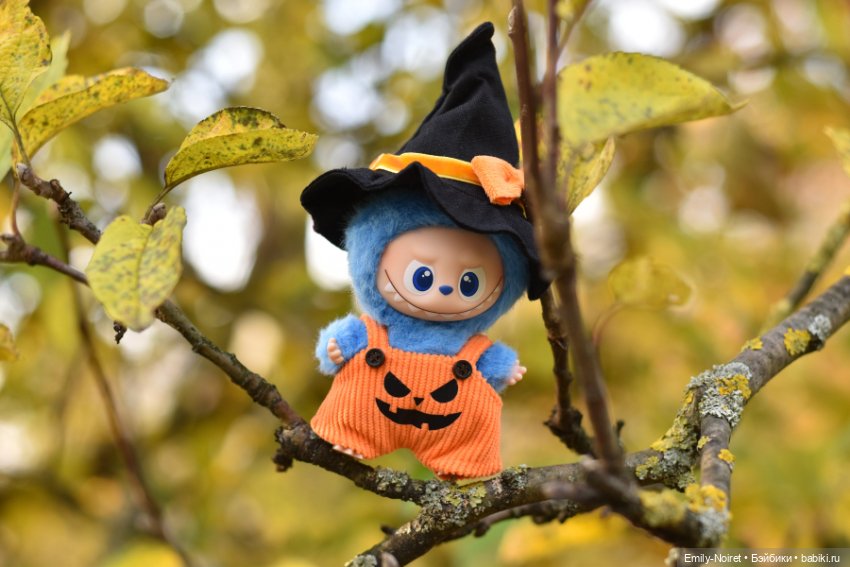 Фото-подборка: Желто-красная осень (фото 3)