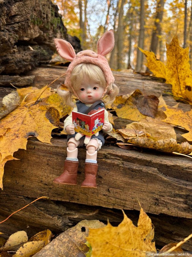 Искусство кукол: покупки — Разные куклы BJD (БЖД): редкие бренды