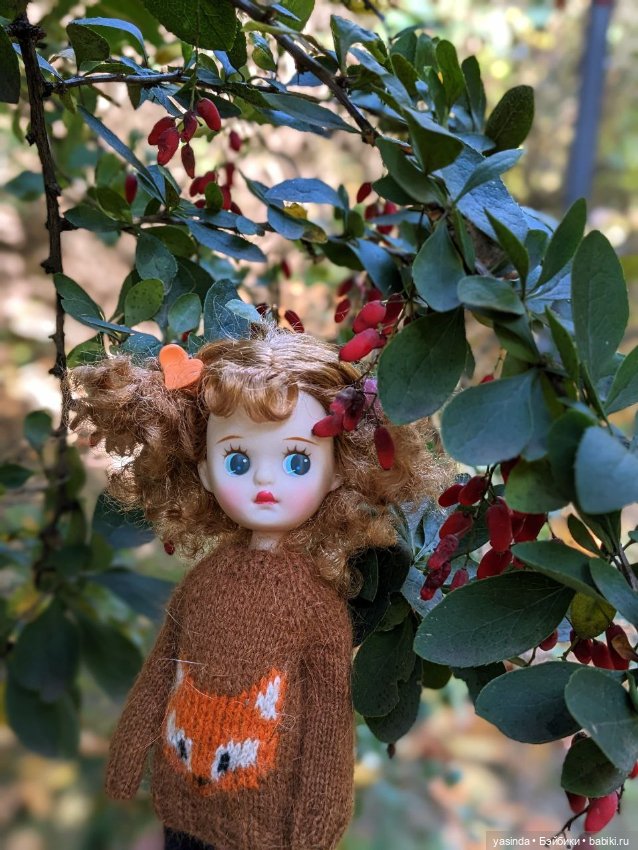 Золотая осень и маленькие ягодки (фото 8)