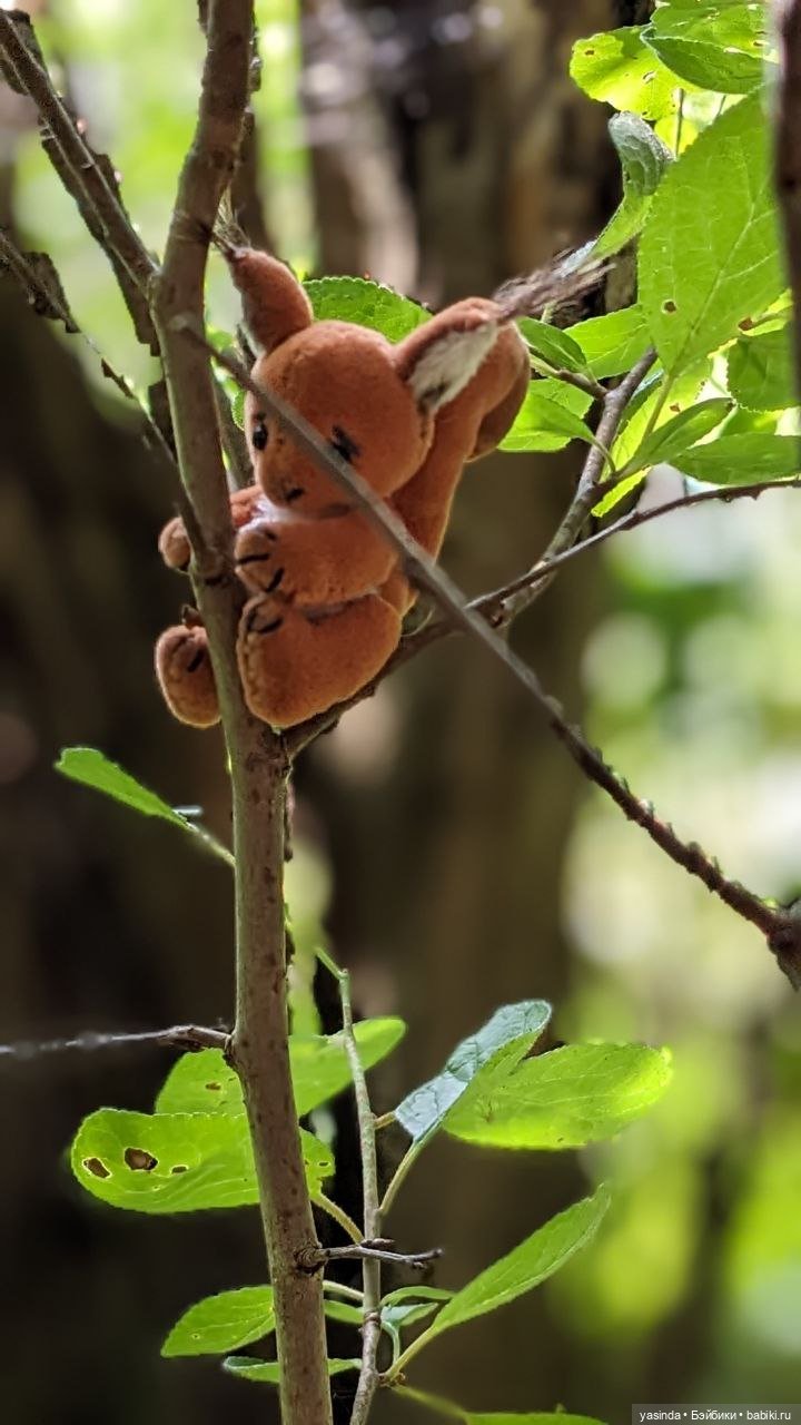 Дачная компания — Куклы Strawberry Planet: Redberry