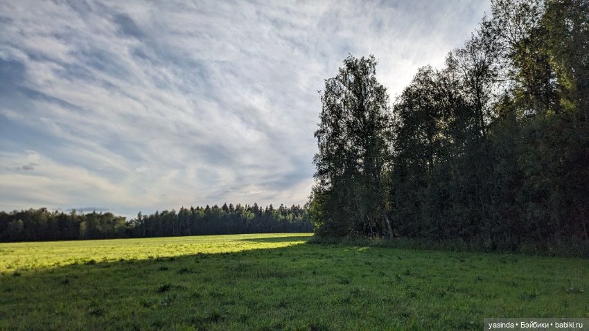 Дачная компания — Куклы Strawberry Planet: Redberry (фото 4)