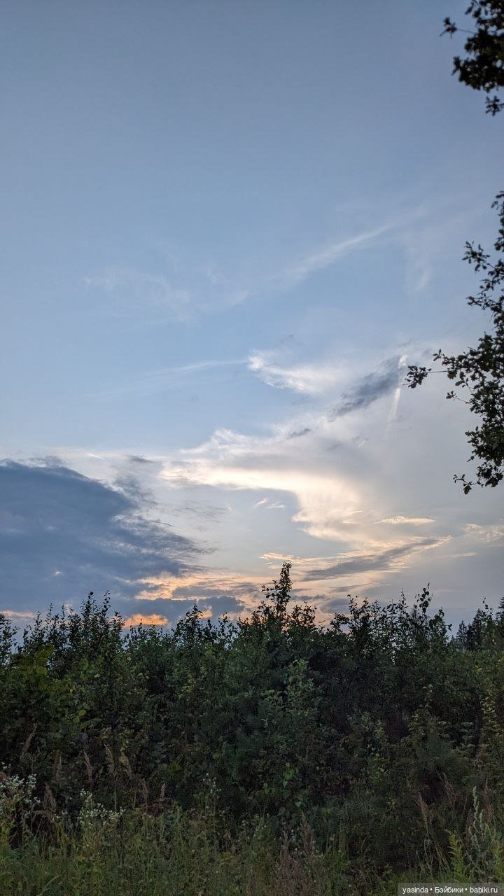 Дачная компания — Куклы Strawberry Planet: Redberry