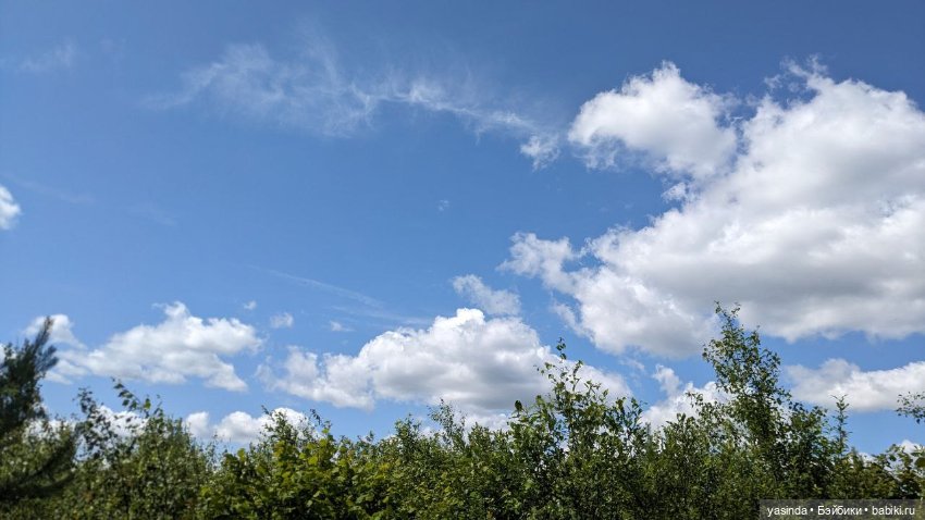 Дачная компания — Куклы Strawberry Planet: Redberry (фото 5)