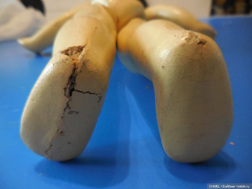 Рябина (Марьюшка) прессопилочная (фото 2)