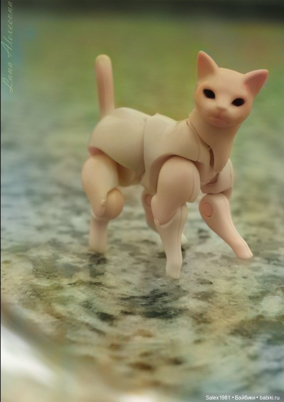 Chitocerium XXII-Tanio Alb (фото 6)