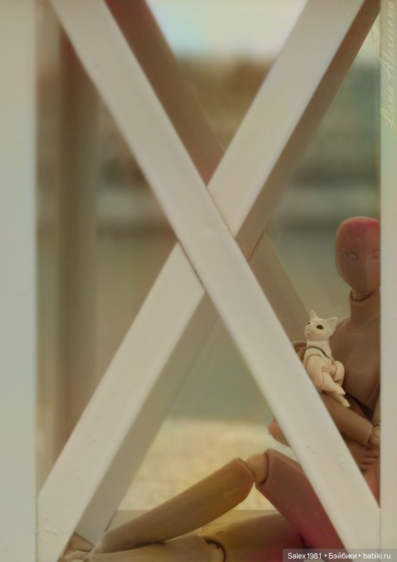 Chitocerium XXII-Tanio Alb