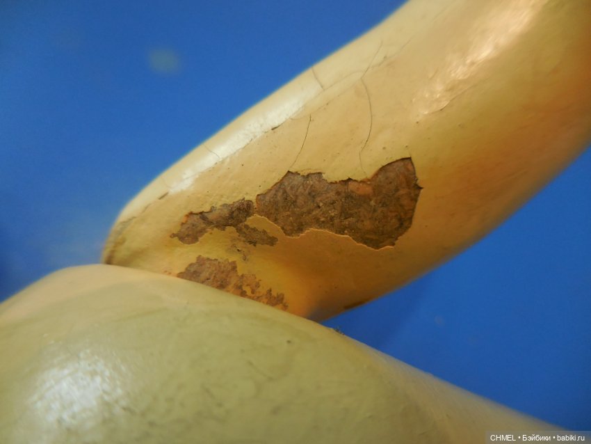 Рябина (Марьюшка) прессопилочная (фото 4)