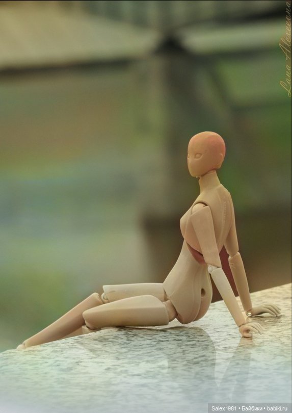 Chitocerium XXII-Tanio Alb (фото 5)