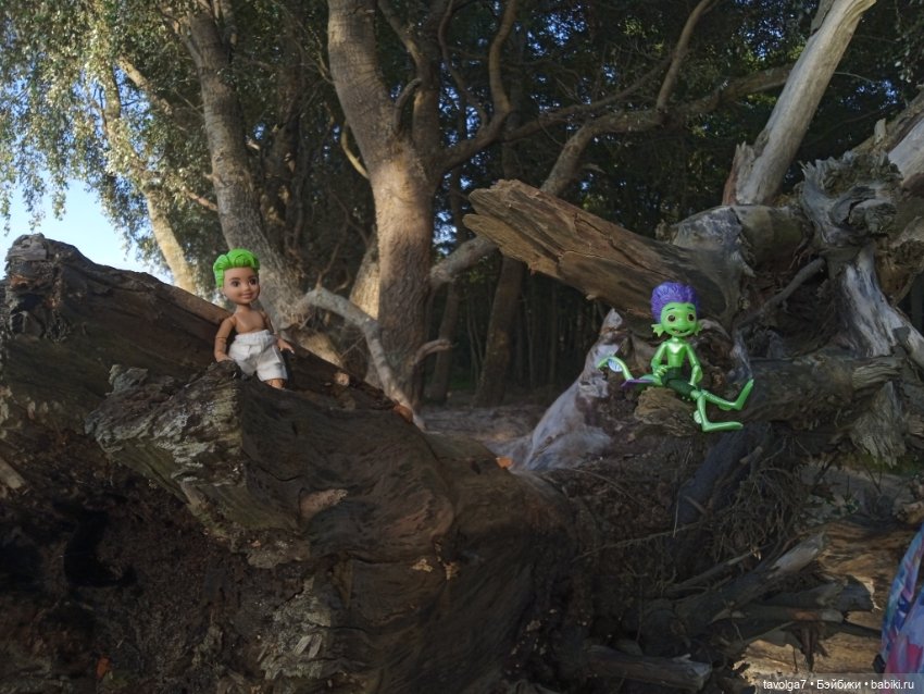 Мои на Балтике — Туризм и путешествия: фотоотчеты из поездок