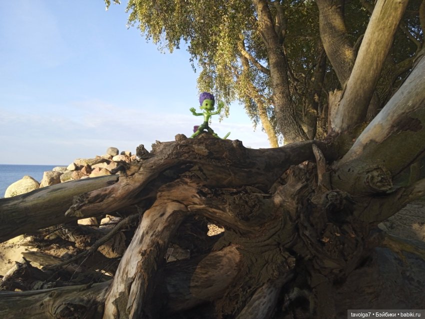 Мои на Балтике — Туризм и путешествия: фотоотчеты из поездок