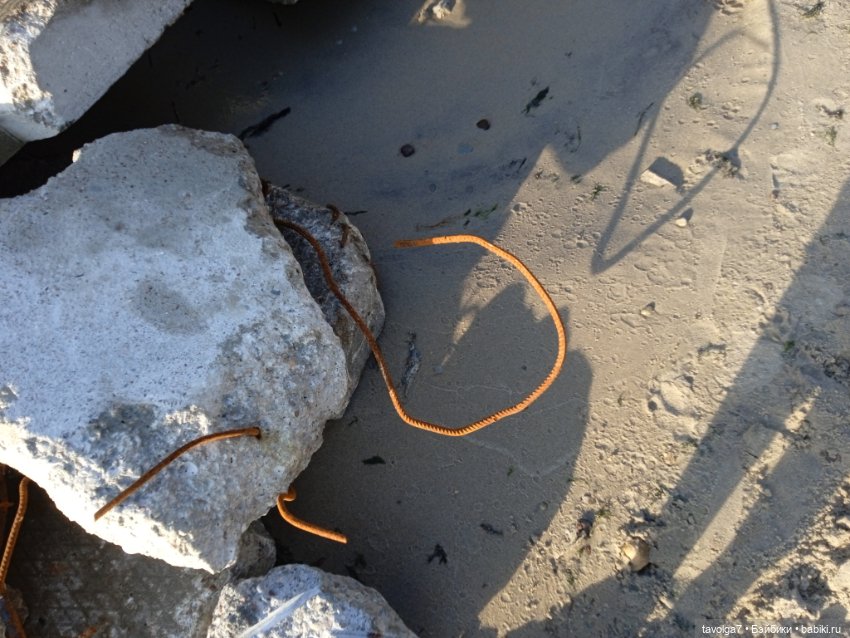 Мои на Балтике — Туризм и путешествия: фотоотчеты из поездок