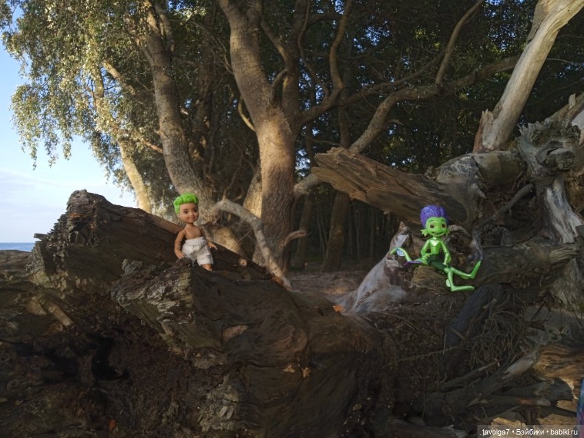 Мои на Балтике — Туризм и путешествия: фотоотчеты из поездок