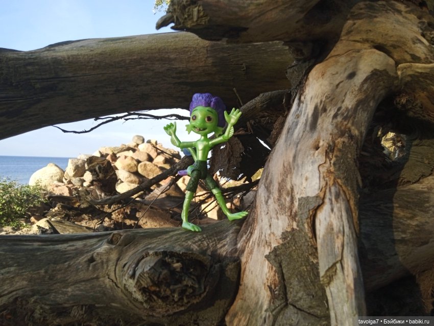 Мои на Балтике — Туризм и путешествия: фотоотчеты из поездок