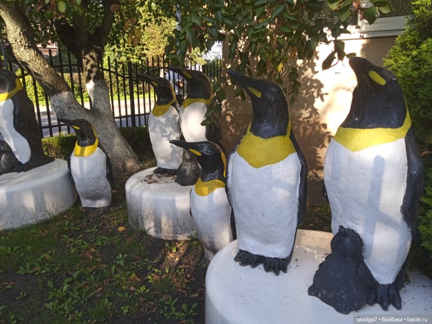 МС2 на Балтику за именем — Куклы L (фото 4)