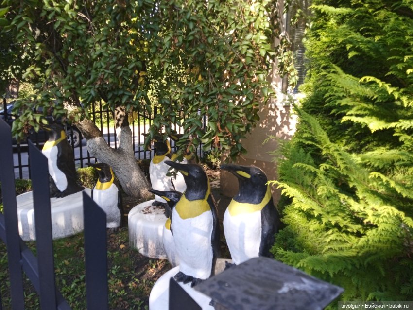 МС2 на Балтику за именем — Куклы L (фото 5)