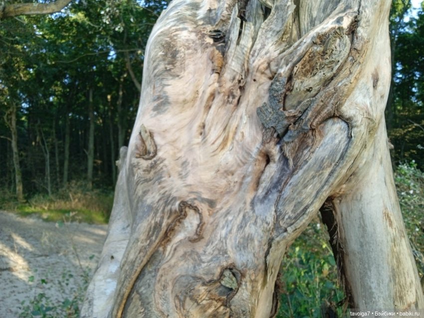 МС2 на Балтику за именем — Куклы L