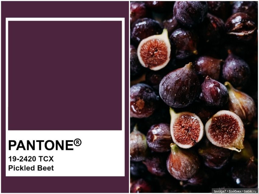 Инжир - цвет и оттенки — Красивая природа и цветы: фото пейзажей