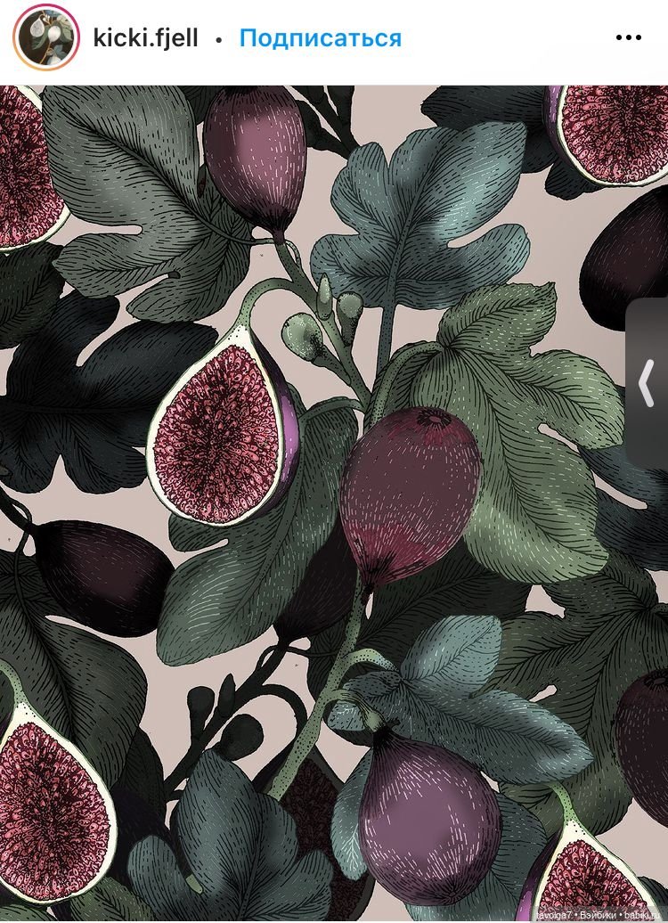 Инжир - цвет и оттенки — Красивая природа и цветы: фото пейзажей (фото 8)