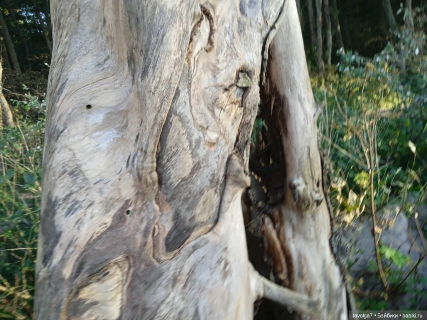 МС2 на Балтику за именем — Куклы L