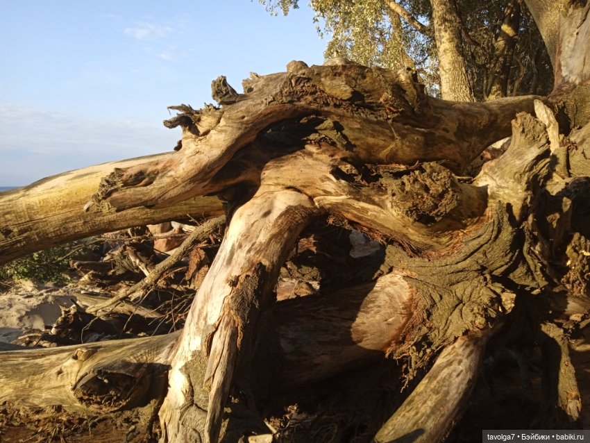 МС2 на Балтику за именем — Куклы L