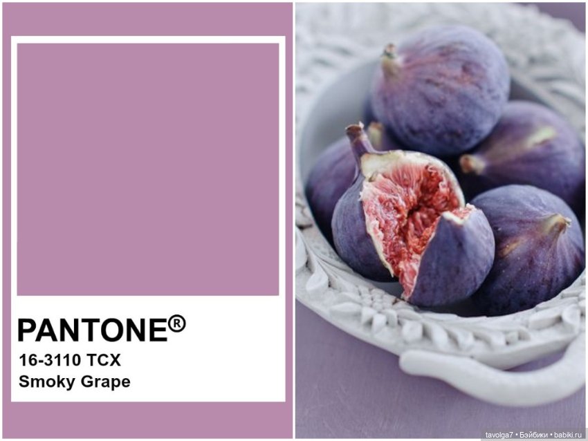 Инжир - цвет и оттенки — Красивая природа и цветы: фото пейзажей (фото 9)