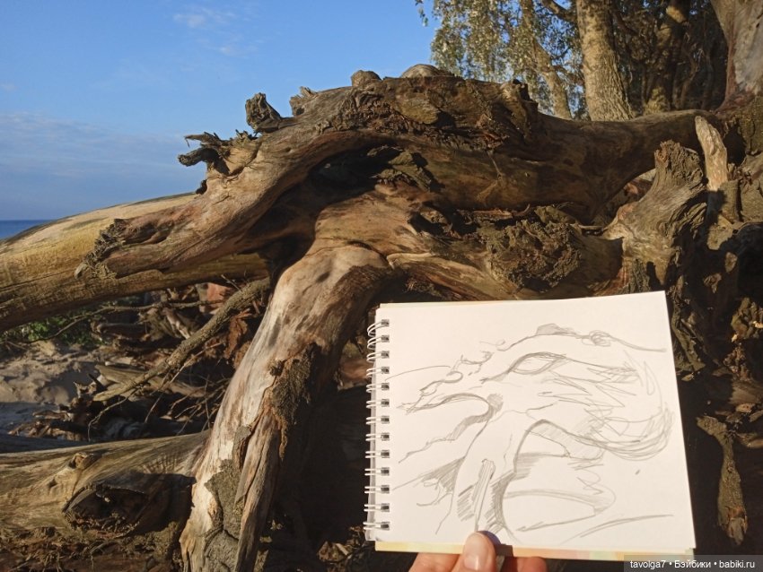 МС2 на Балтику за именем — Куклы L