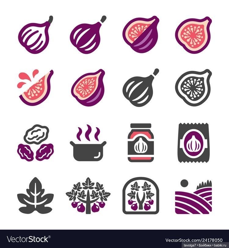 Инжир - цвет и оттенки — Красивая природа и цветы: фото пейзажей