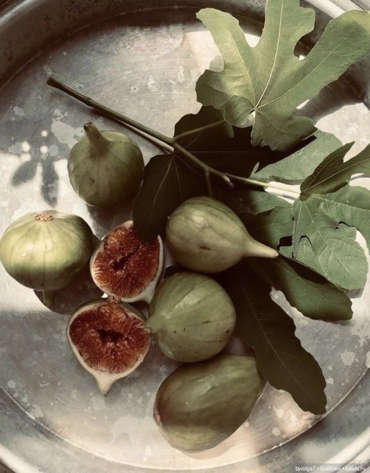 Инжир - цвет и оттенки — Красивая природа и цветы: фото пейзажей (фото 2)