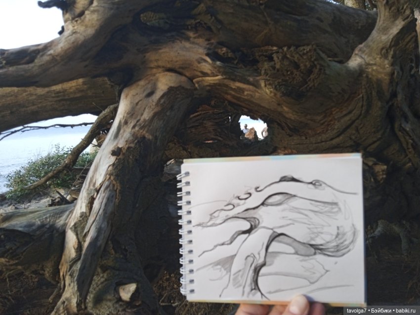 МС2 на Балтику за именем — Куклы L