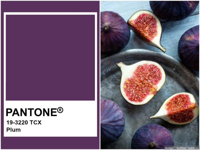 Инжир - цвет и оттенки — Красивая природа и цветы: фото пейзажей