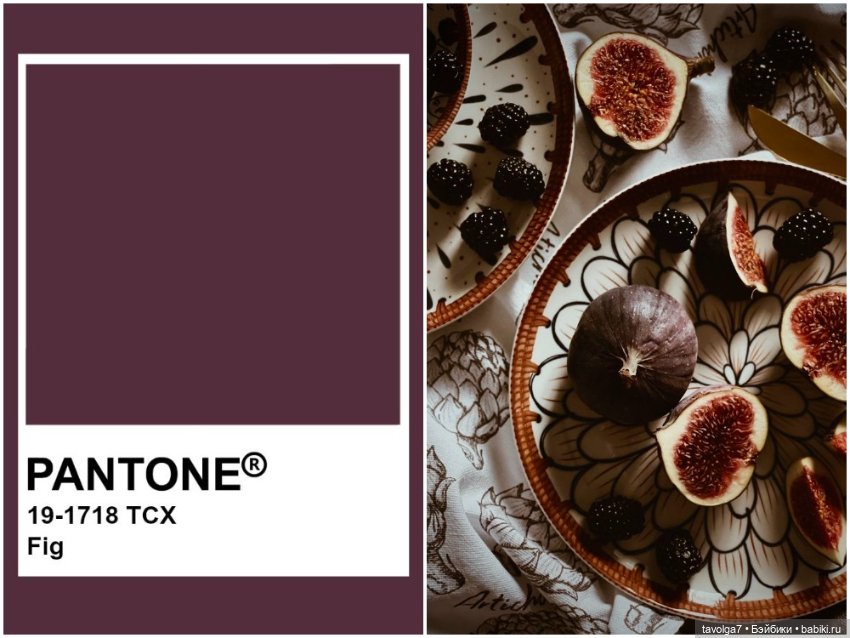 Инжир - цвет и оттенки — Красивая природа и цветы: фото пейзажей