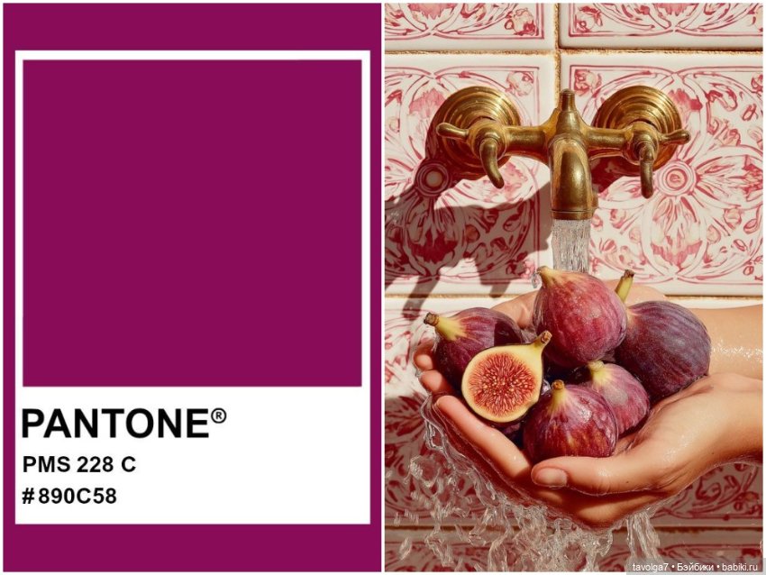 Инжир - цвет и оттенки — Красивая природа и цветы: фото пейзажей (фото 10)