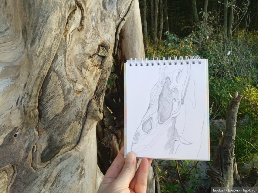 МС2 на Балтику за именем — Куклы L