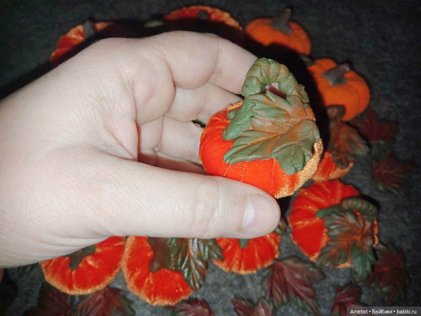 Поспели тыквы на поле тёти Рэйчел