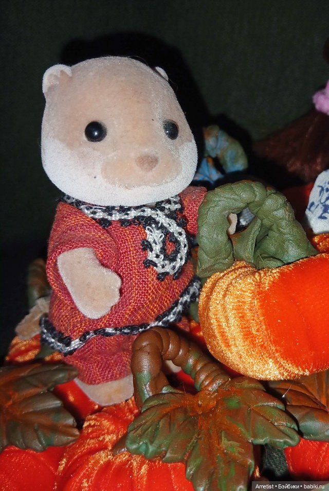 Поспели тыквы на поле тёти Рэйчел (фото 4)