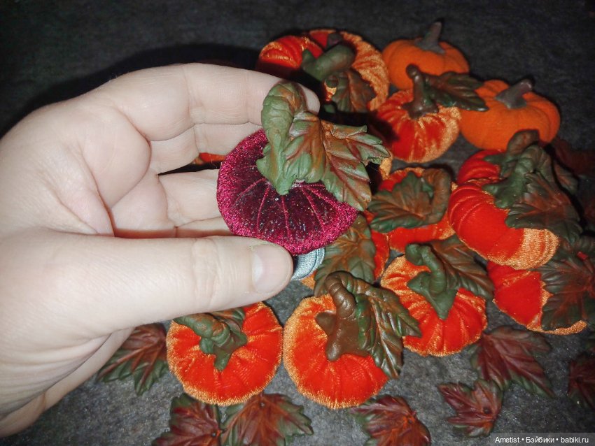 Поспели тыквы на поле тёти Рэйчел (фото 9)