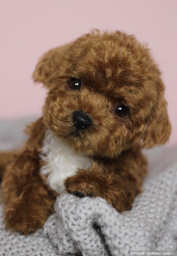 Щенок мальтипу — Реалистичные игрушки и звери (Натюр): собаки (фото 3)