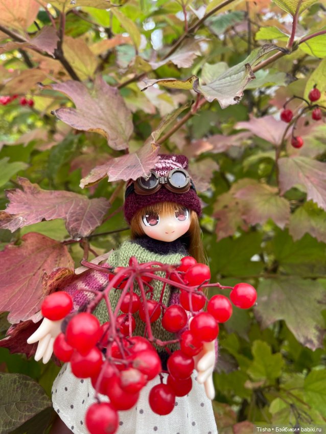 Azone Lil Fairy Neilly — Куклы Azone (Азон) и тела Pure Neemo: фото (фото 10)