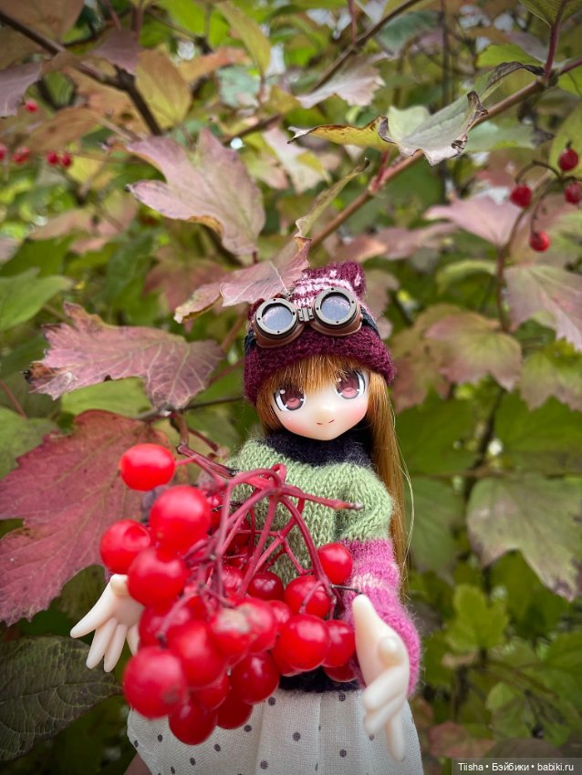 Azone Lil Fairy Neilly — Куклы Azone (Азон) и тела Pure Neemo: фото (фото 9)