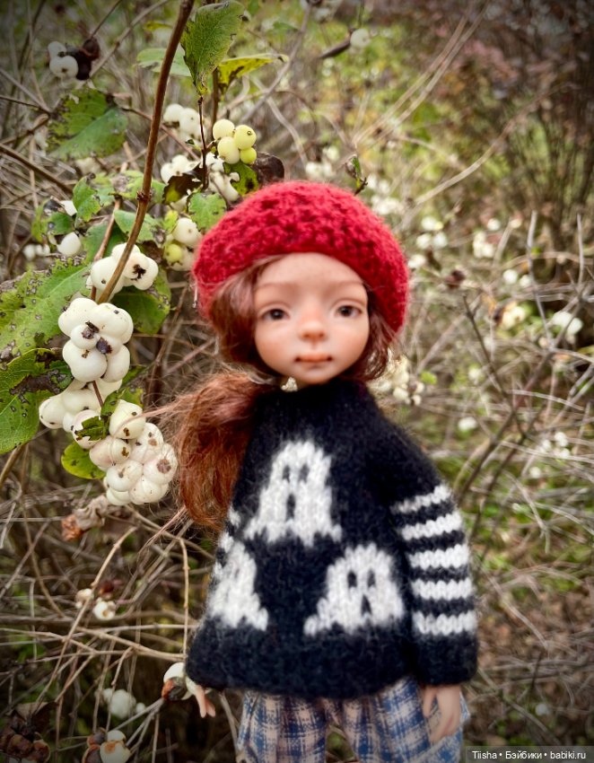 Дачно - осеннее… — Разные куклы BJD (БЖД): редкие бренды (фото 2)