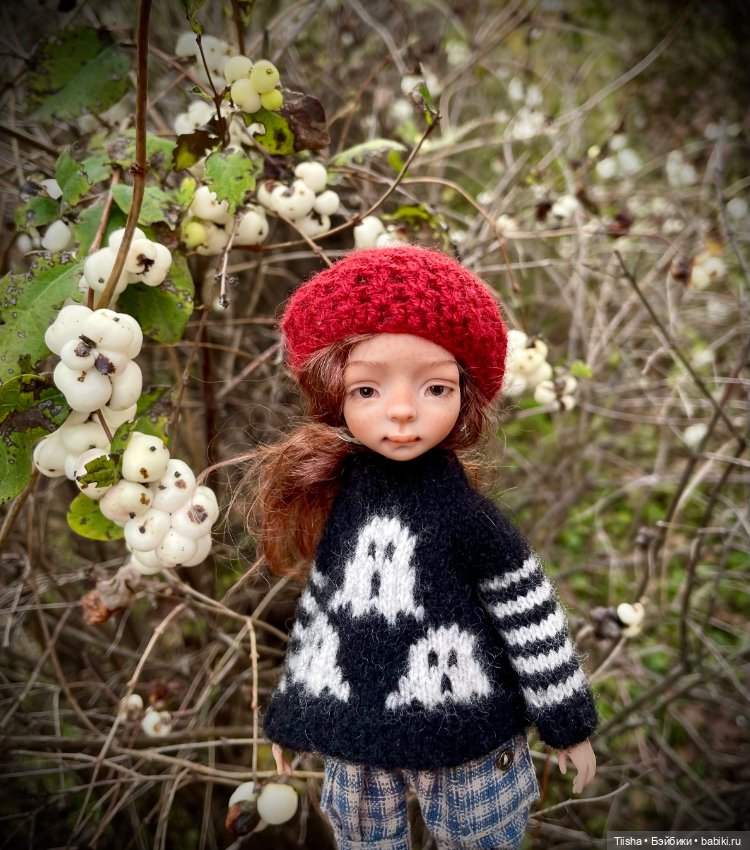 Дачно - осеннее… — Разные куклы BJD (БЖД): редкие бренды