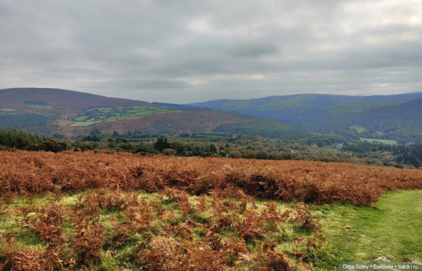 Кто-то к людям, кто-то от них