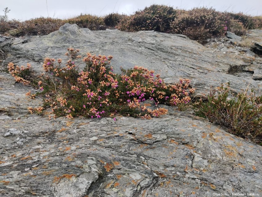 Кто-то к людям, кто-то от них