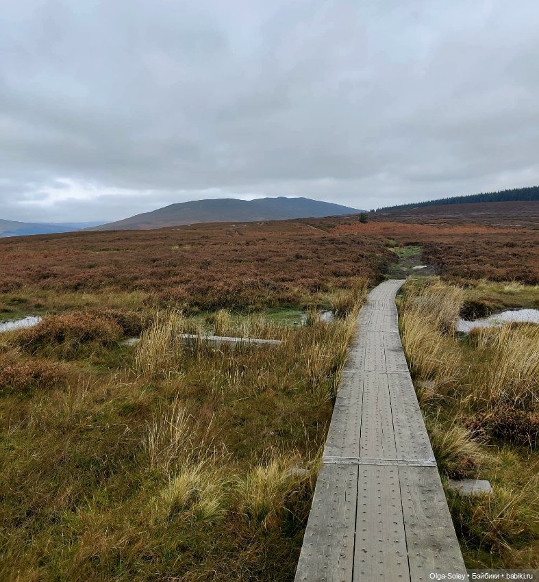 Кто-то к людям, кто-то от них (фото 8)