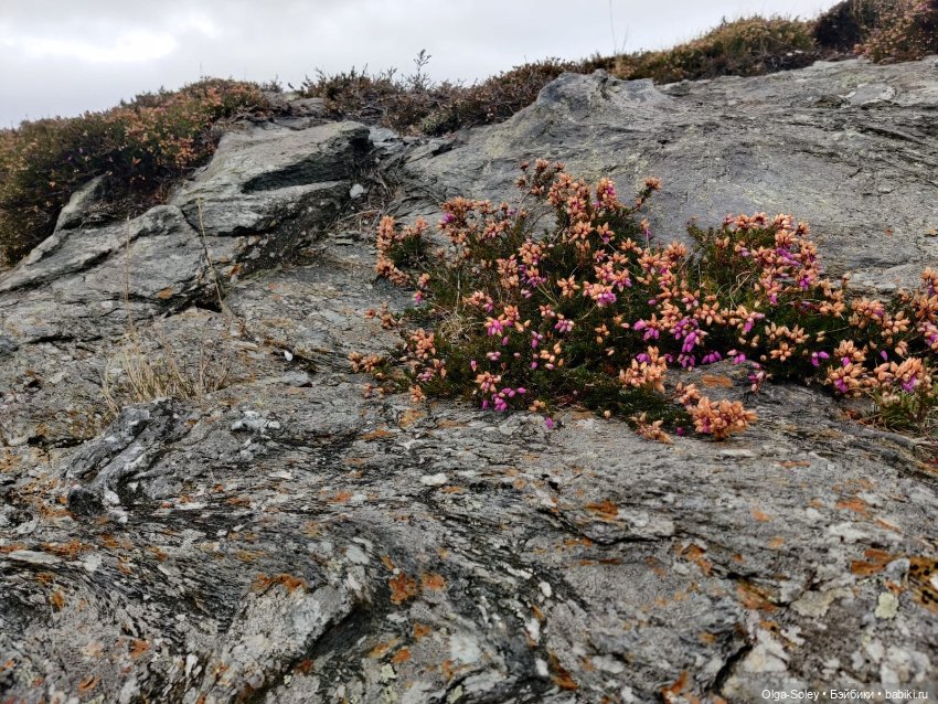 Кто-то к людям, кто-то от них